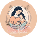 littlewondersvn.com